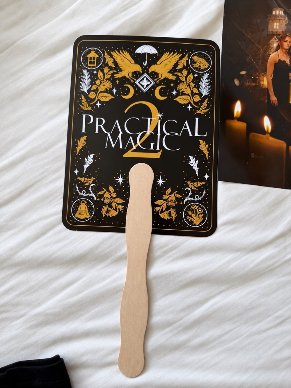 Practical Magic 2 Premiere Bundle - Picture 5 of 7